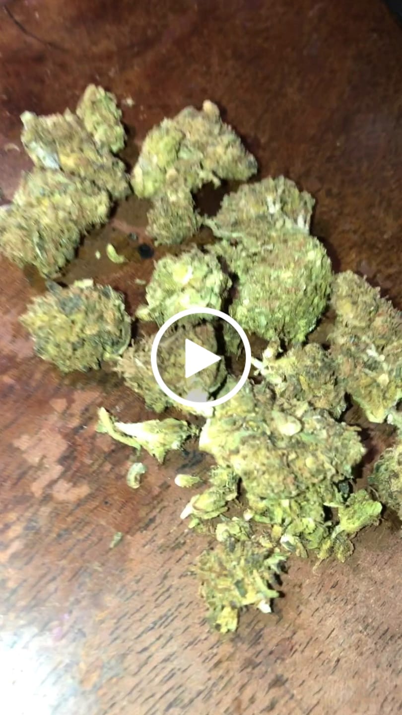Customer video review of Exotic Micros