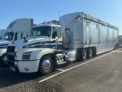 Customer photo review of Havoc Step 2