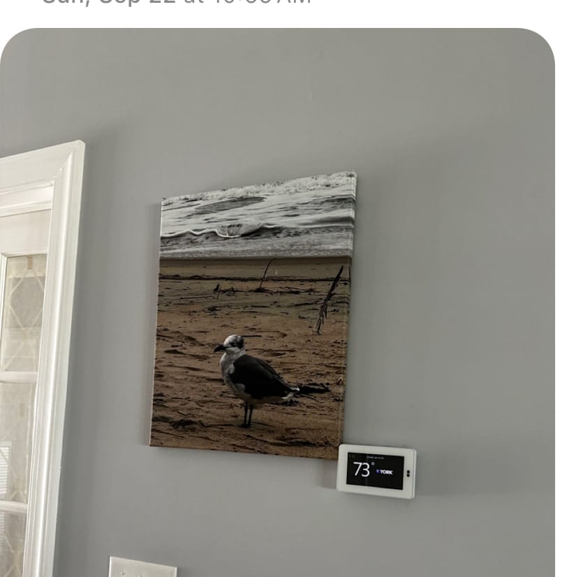 Customer photo review of Custom Canvas
