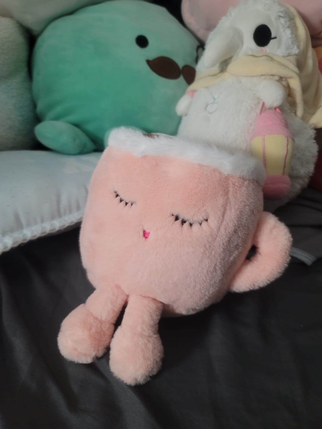 Customer photo review of Sakura Latte and Matcha Cup Plushies (2 Colors, 2 Sizes)