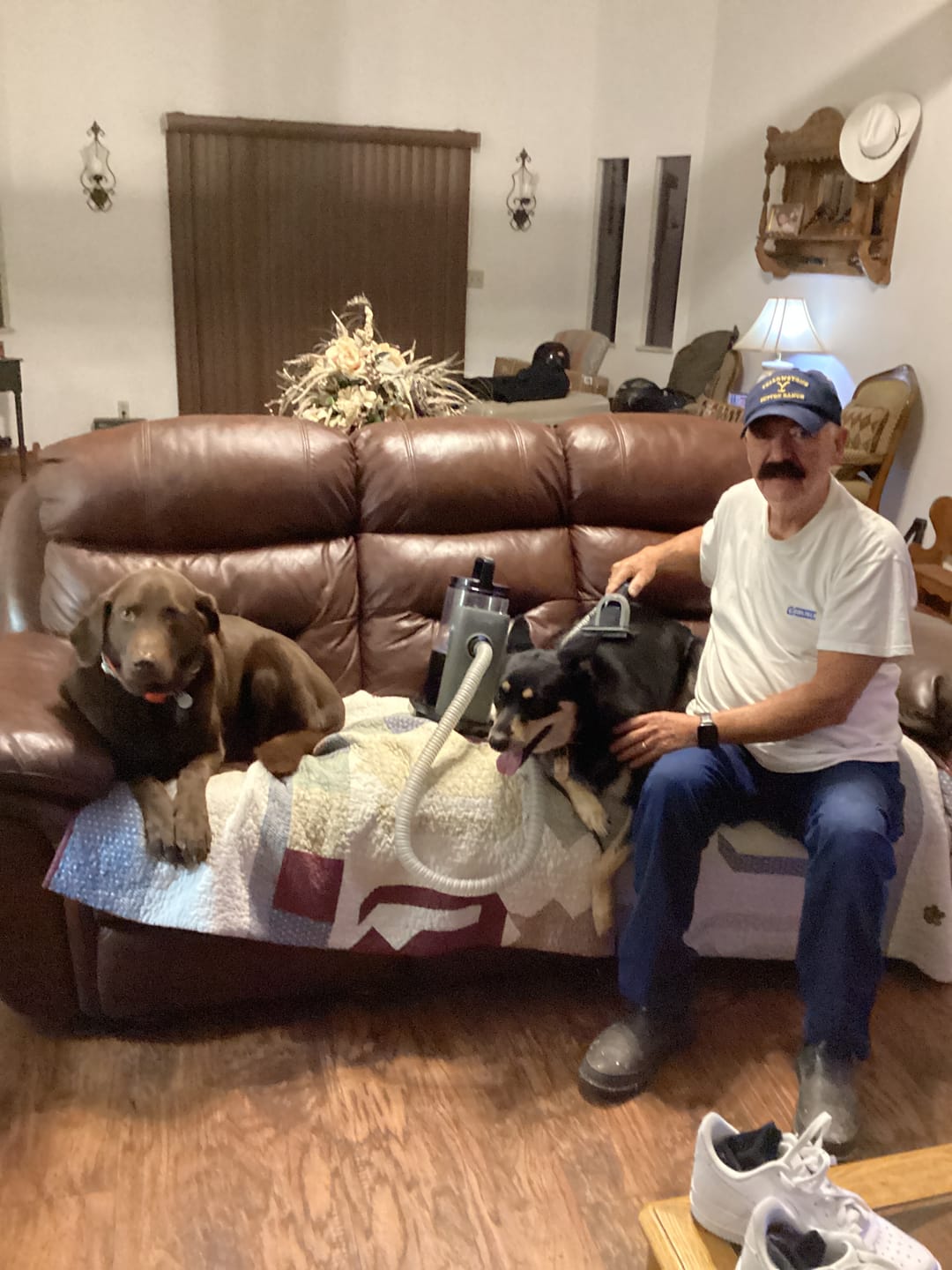 Customer photo review of furMe™️ Professional PLUS Pet Grooming Vacuum Kit