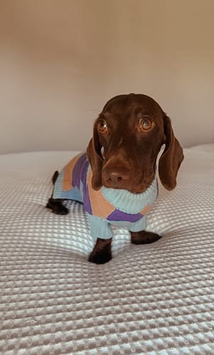 Customer photo review of Groovy sweater