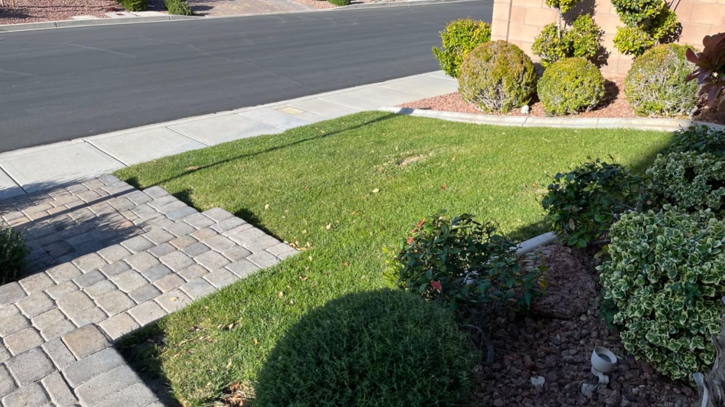 Customer photo review of Grazer™ : Best Powerful Electric Battery Operated Cordless Metal Blade Weed Eater / Grass Trimmer