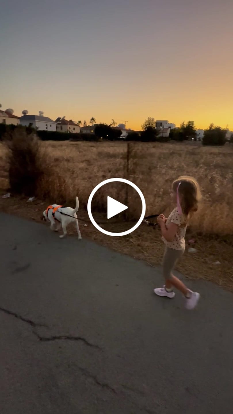 Customer video review of Double Ended Training Leash | All Breeds - Durable & Soft 2m Leash - Black