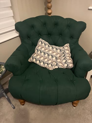 Customer photo review of Fabric Paint -- Green