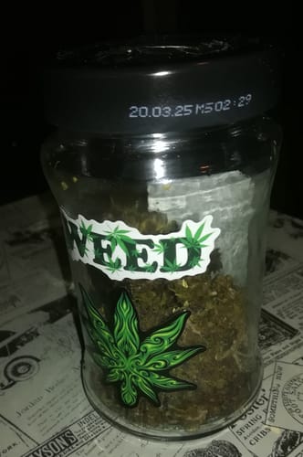 Customer photo review of 💜 Purple Haze Delight CBD 21%