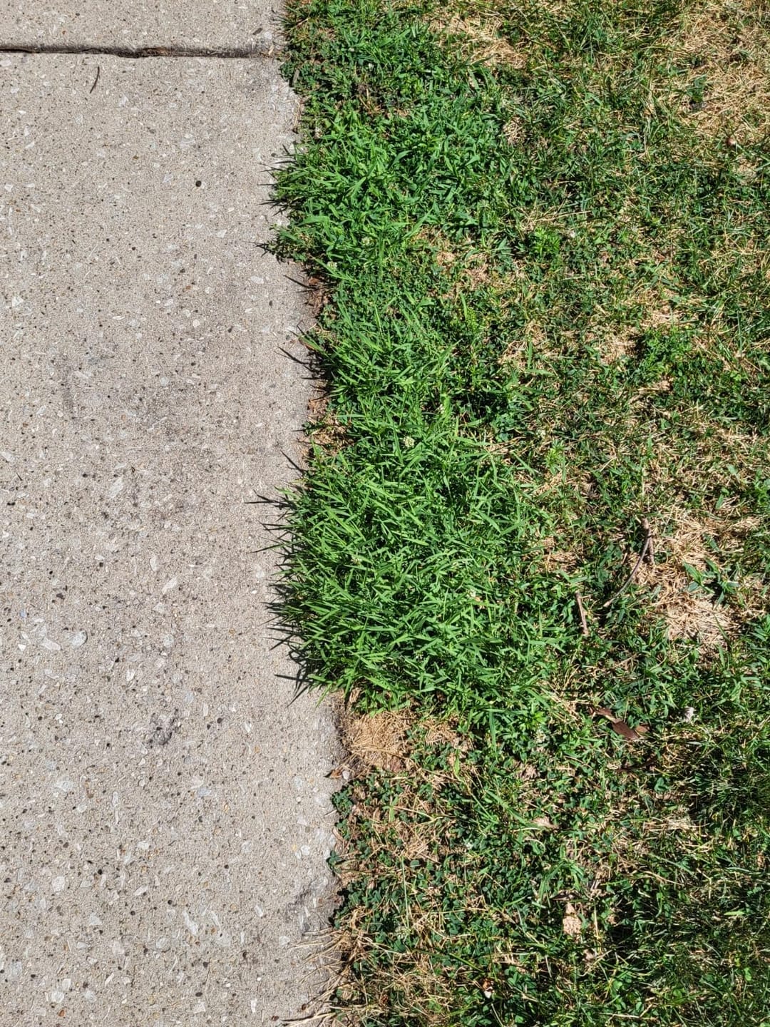 Customer photo review of Grazer™ : Best Powerful Electric Battery Operated Cordless Metal Blade Weed Eater / Grass Trimmer