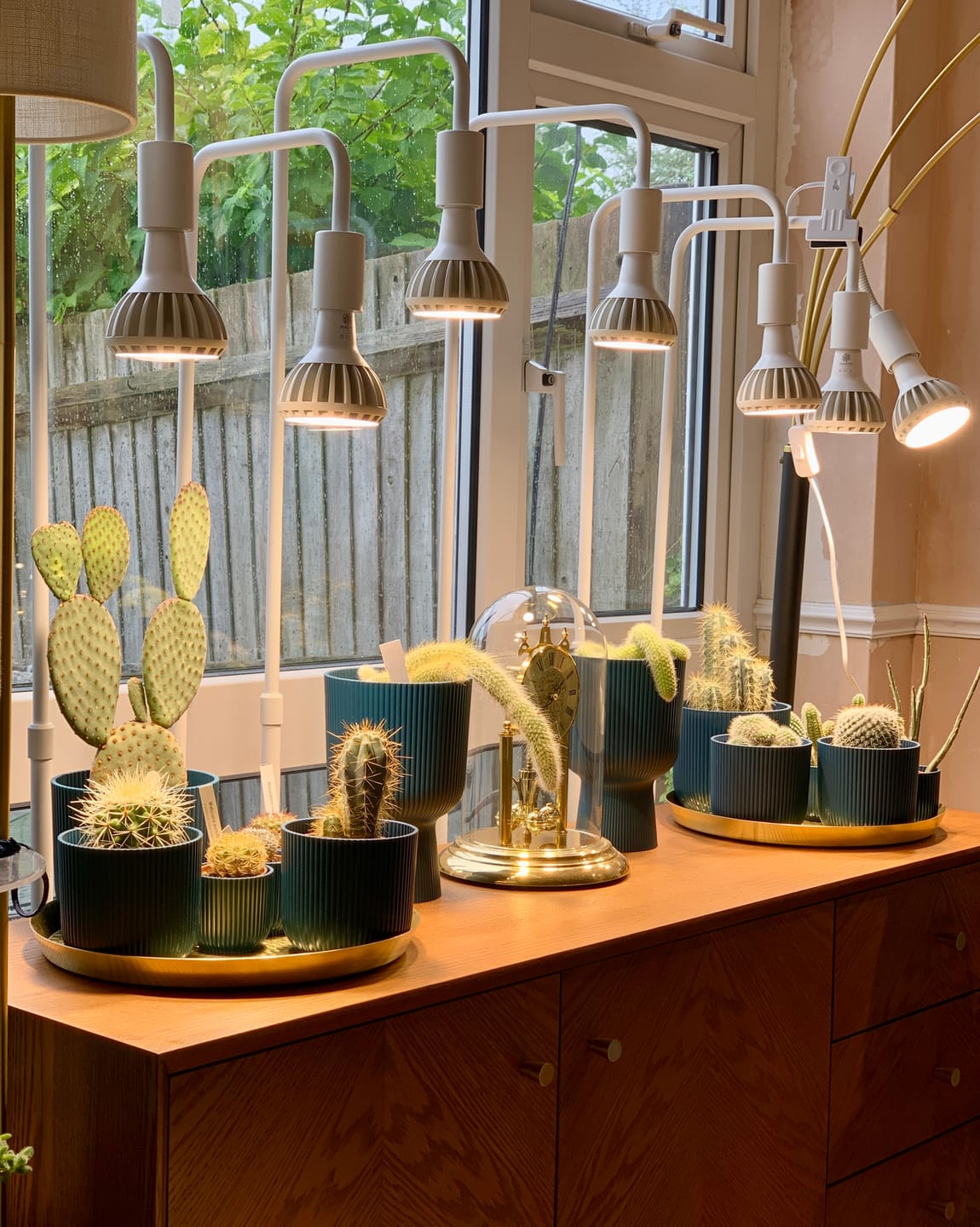 Customer photo review of Pianta Adjustable Floor Lamp