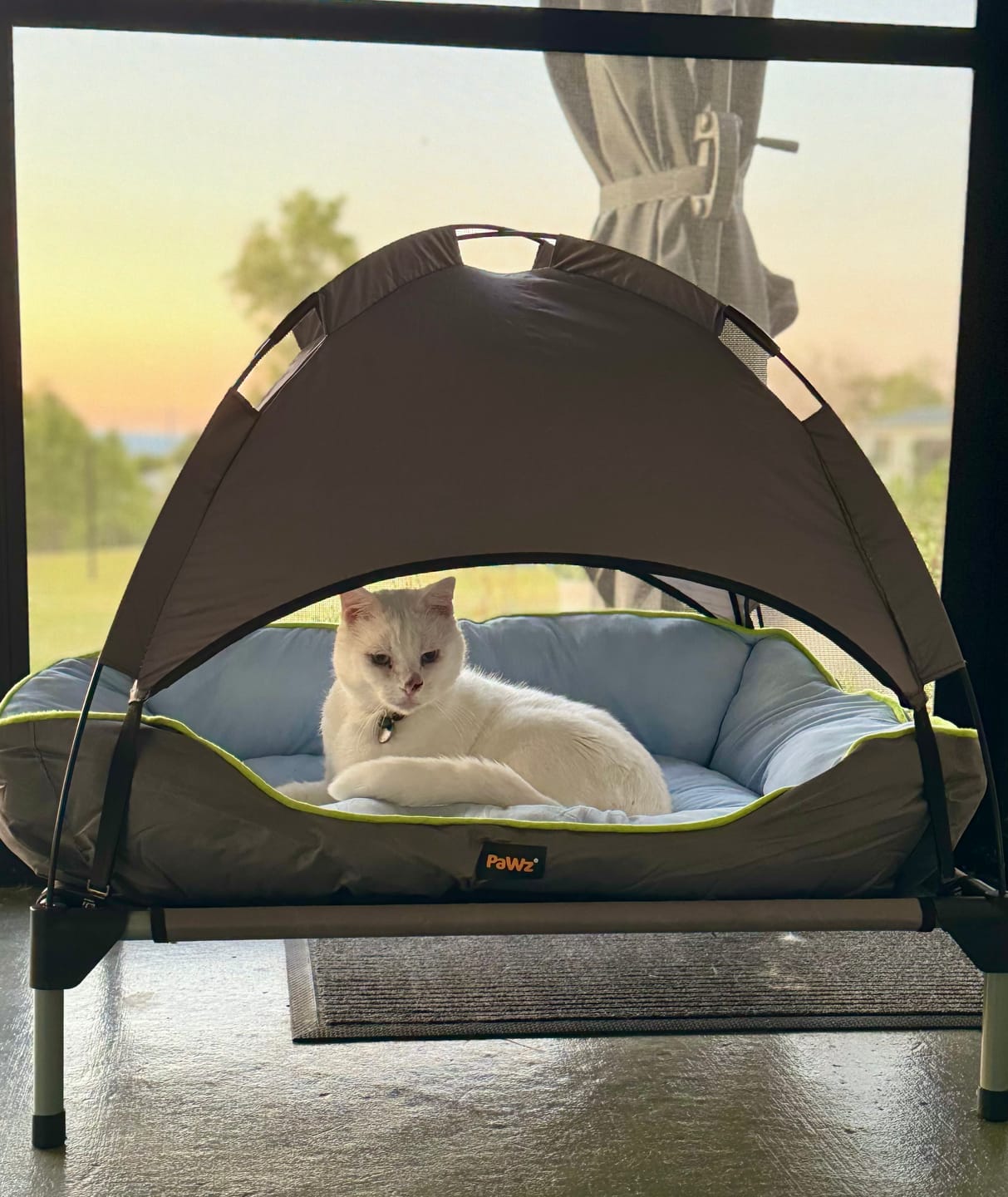 Customer photo review of PaWz Pet Cooling Sofa Bed