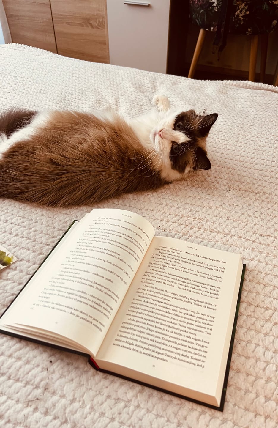 Customer photo review of Prieš tylą: miške sutiktas nepažįstamasis ir jo pasiūlymas suintriguoja... Kur gali nuvesti smalsumas ir netramdoma aistra?