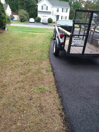 Customer photo review of GCI Turf Type Tall fescue Grass Seed