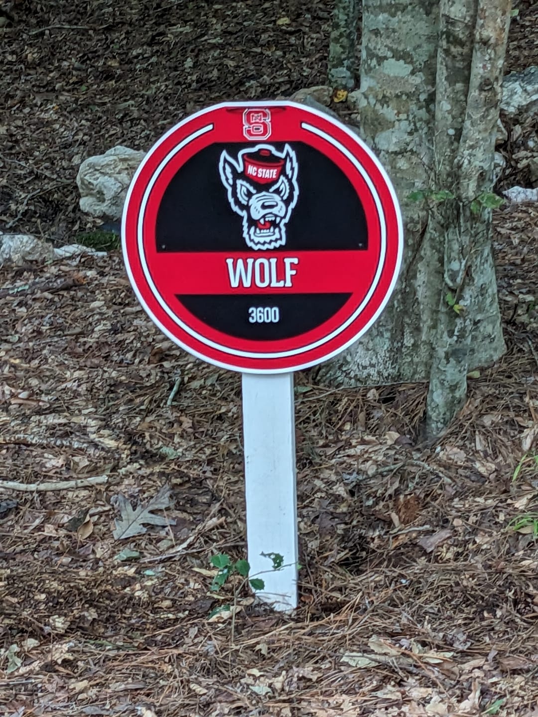 Customer photo review of North Carolina State Wolfpack Personalized Monogram Metal Art