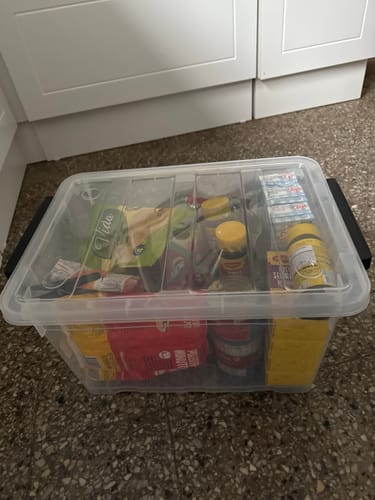 Customer photo review of Baul Caja Organizadora Plástico C/ruedas 42 Lts