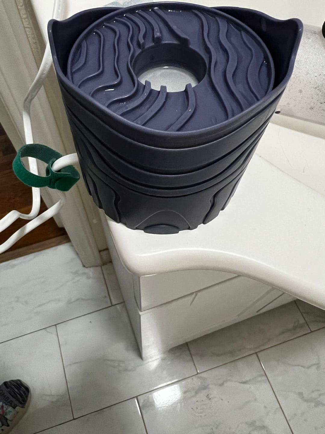 Customer photo review of Saalt Cup + Disc Steamer