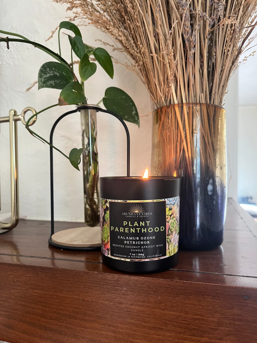 Customer photo review of Plant Parenthood (Calamus Ozone + Petrichor)