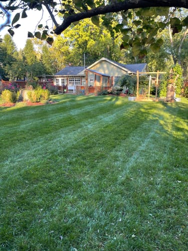 Customer photo review of GCI Turf Spreader Elite Grass Seed