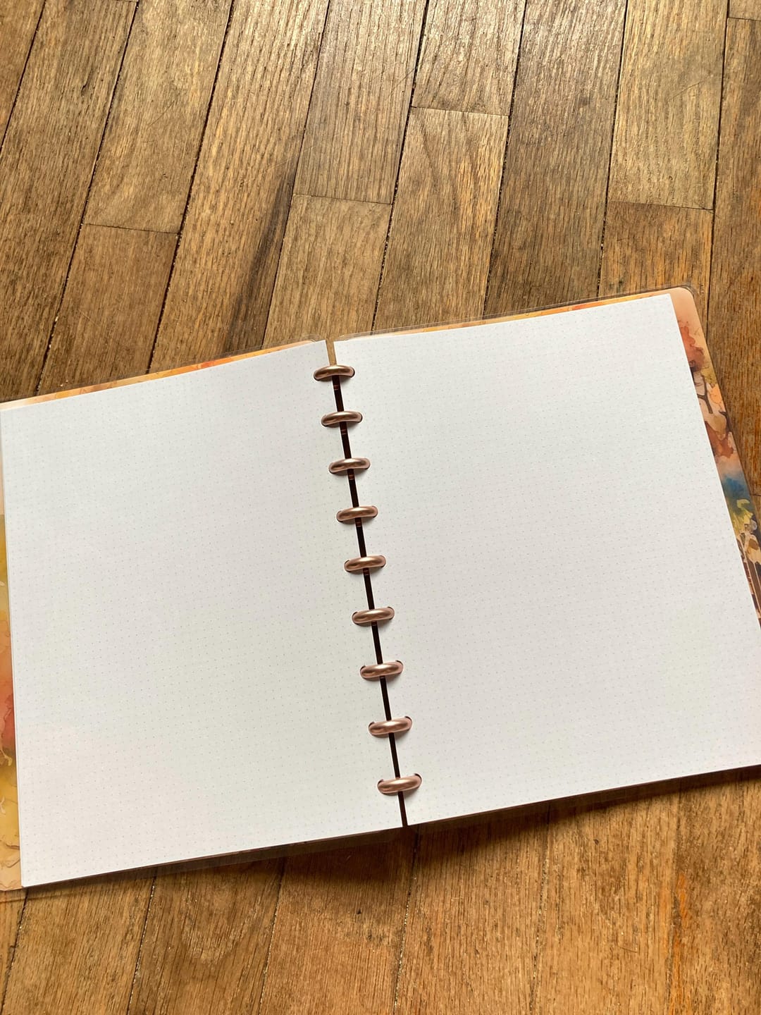 Customer photo review of Printed Dot Grid Happy Planner Pages, 40 Double-sided Sheets, planner inserts, Minimalist Disc Planner, Minimalistic, Bullet Journaling