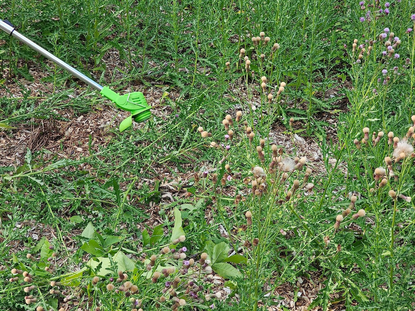 Customer photo review of Grazer™ : Best Powerful Electric Battery Operated Cordless Metal Blade Weed Eater / Grass Trimmer