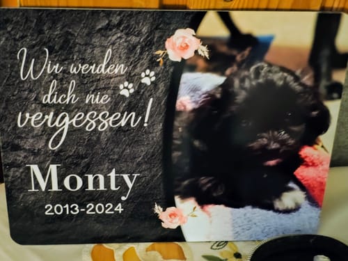 Customer photo review of Hunde Gedenktafel mit Foto & Spruch (UV- &  Wetterfest)