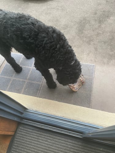 Customer photo review of Australian Roo Ribs