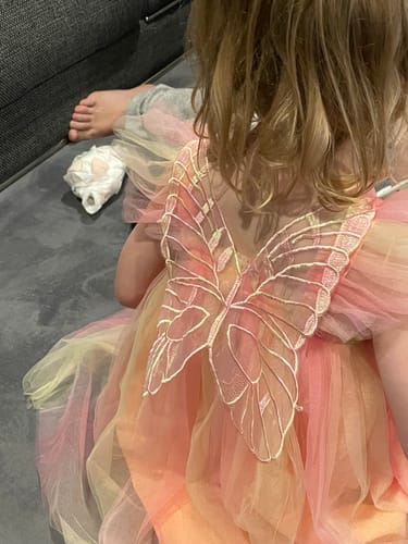 Customer photo review of Rainbow Fairy Dress