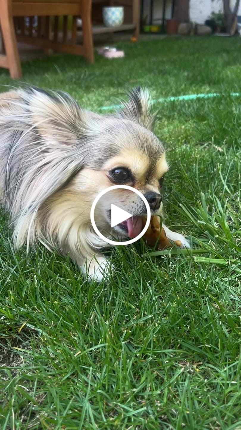 Customer video review of Patas de pollo