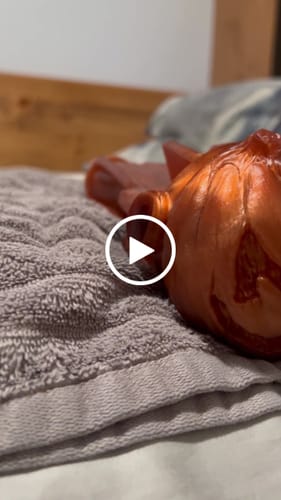 Customer video review of » Jack Off Lantern (100% off)