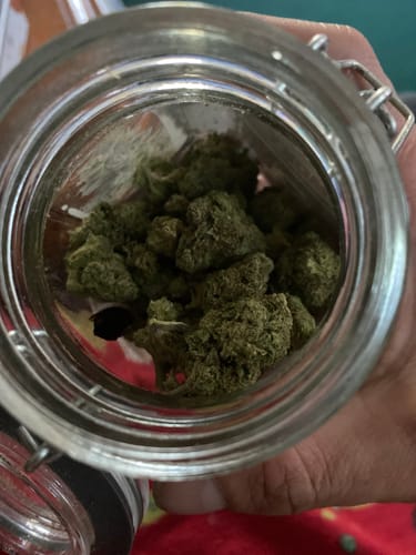 Customer photo review of Gold Spectrum THCA Flower - Top Quality Strain of the Month