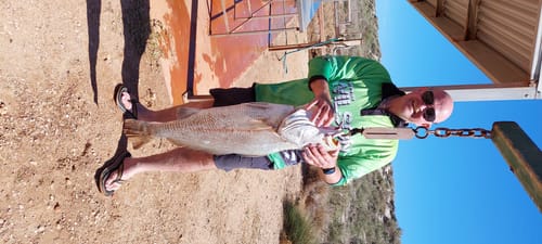 Customer photo review of Spare Propellers Set of 4