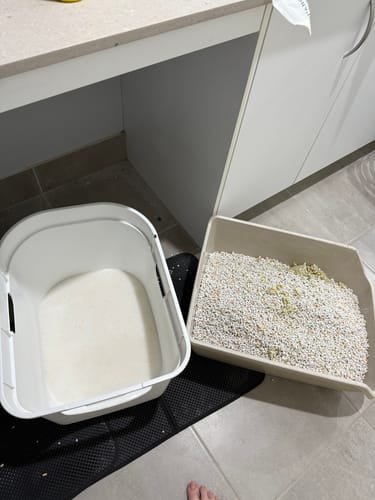 Customer photo review of 1 Month Supply – 2 Cat