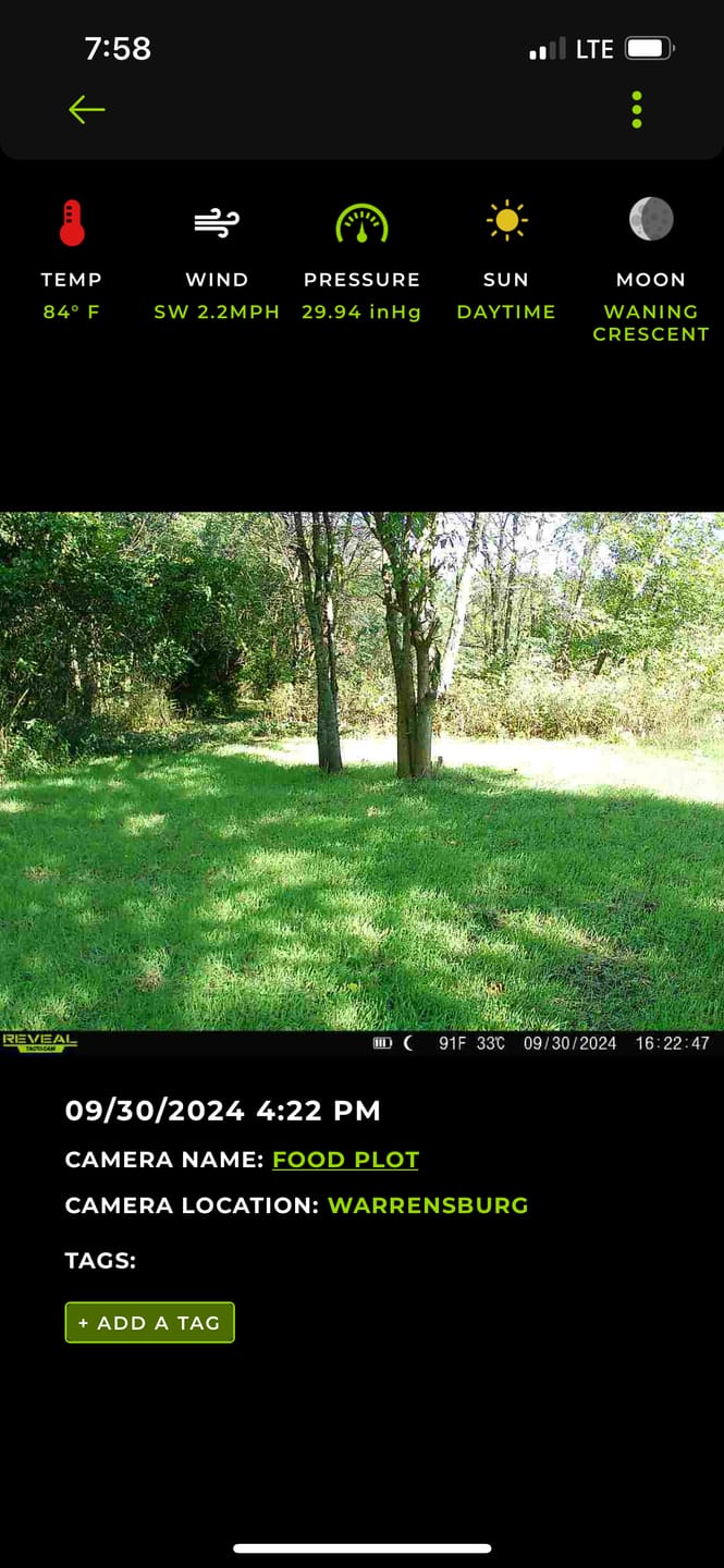 Customer photo review of Winter Rye Food Plot Seed
