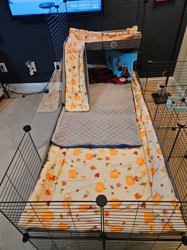 Customer photo review of Fleece Liners | Pawmkin Spice Floofs