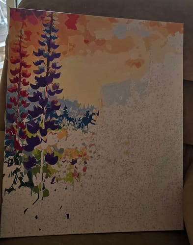 Customer photo review of צביעה לפי מספרים - PBN0707