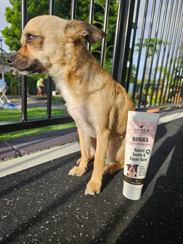 Customer photo review of DoggieBalm Manuka