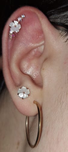 Customer photo review of Piercing Alba