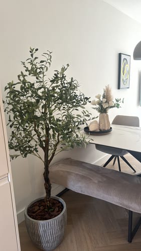 Customer photo review of Kunst Olijfboom 150cm (lichte stam)