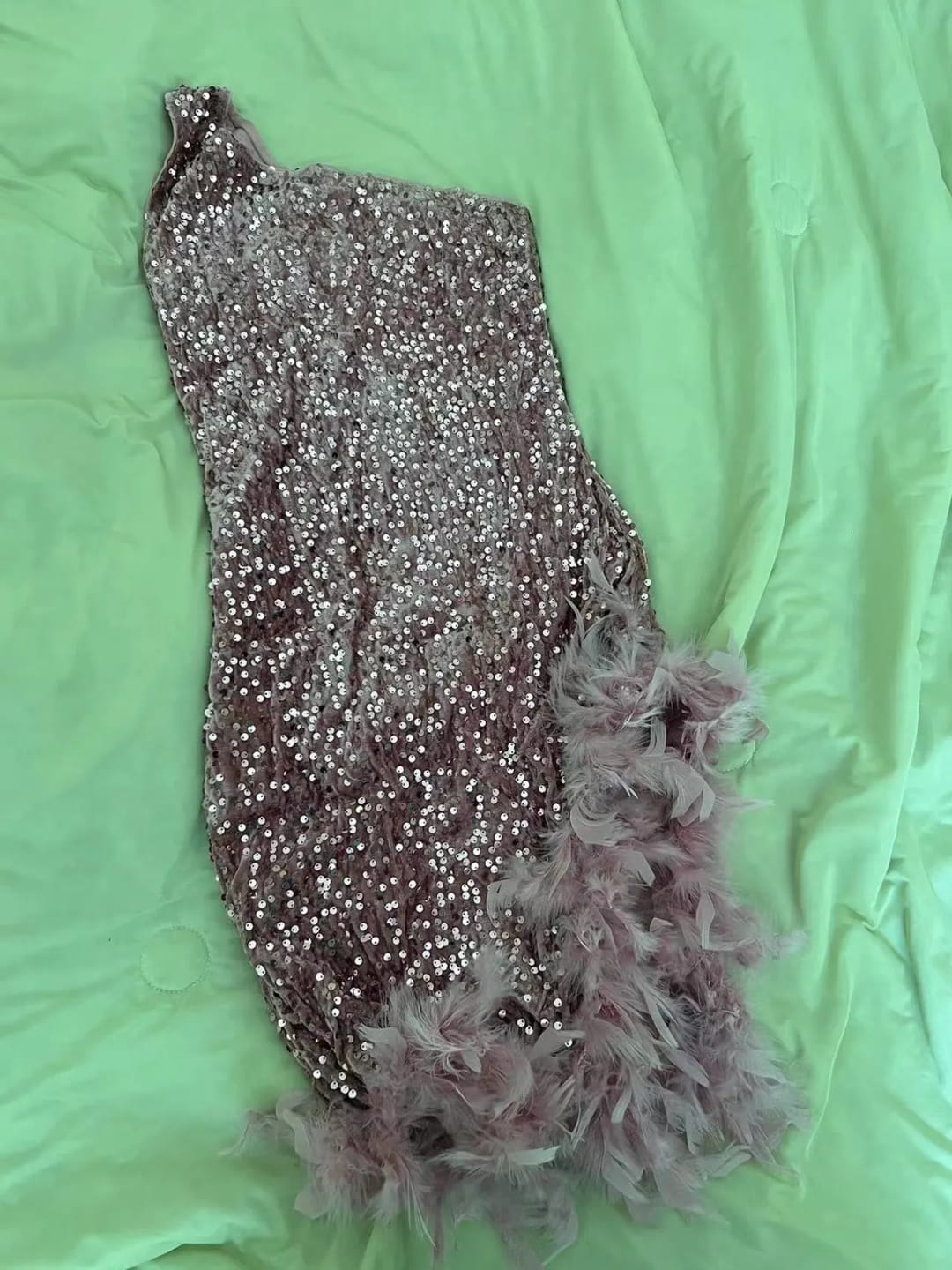 Customer photo review of Pink Passion Sequin Feather Mini Dress - Glamorous Party Perfection