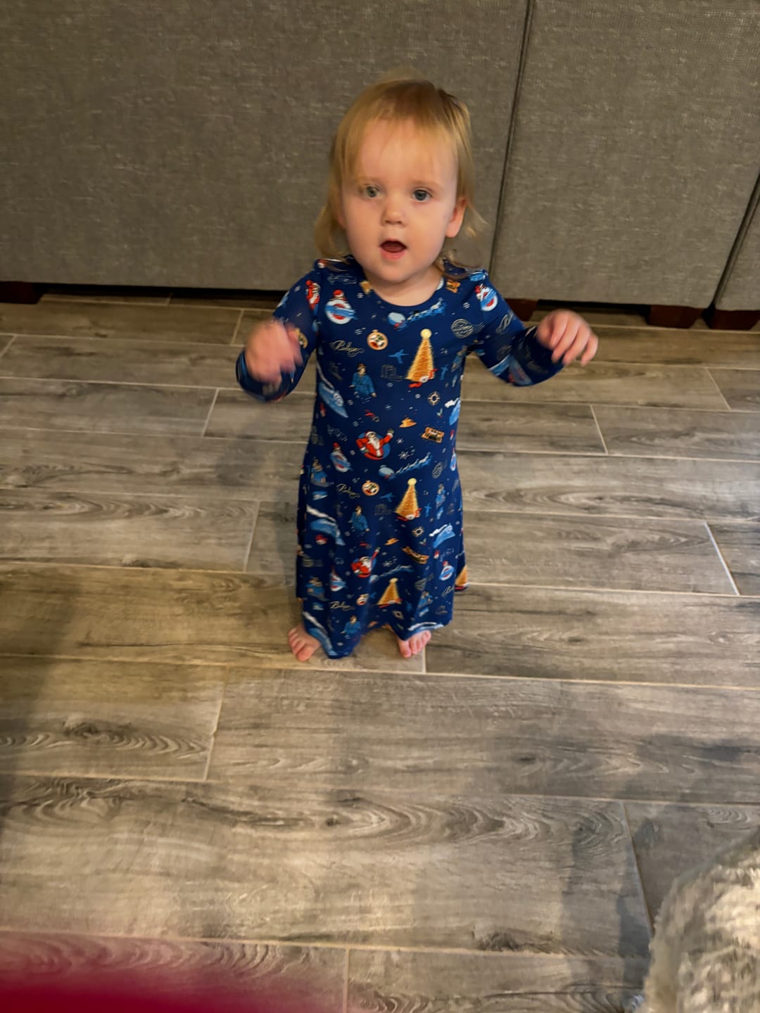 Customer photo review of The Polar Express Bamboo Girls' Long Sleeve Dress