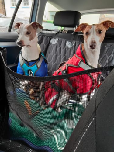 Customer photo review of Rear Car Seat Extender for Dogs