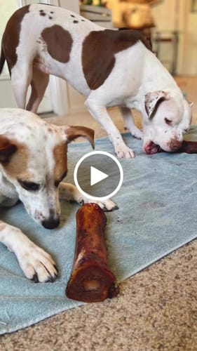 Customer video review of Smoked Beef Marrow Bone