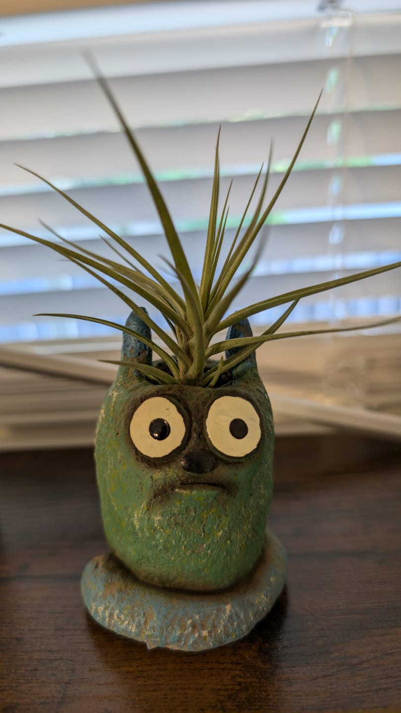 Customer photo review of Harrisii  (Easy Care Plant)  *Cannot Be Shipped Internationally*