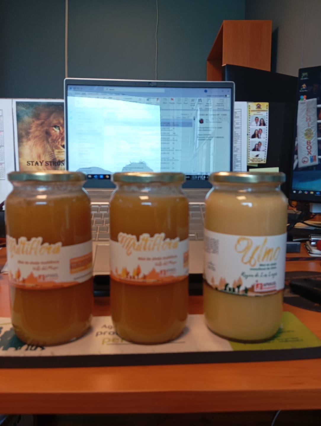 Customer photo review of Miel de Ulmo 1.3 kg