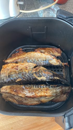 Customer photo review of Air Fryer Novio Grill & Fry