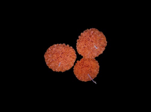 Customer photo review of 3 Moldes Flor de Cempasúchil Grande para Vela con 1 KG Cera de Soya APF Gratis