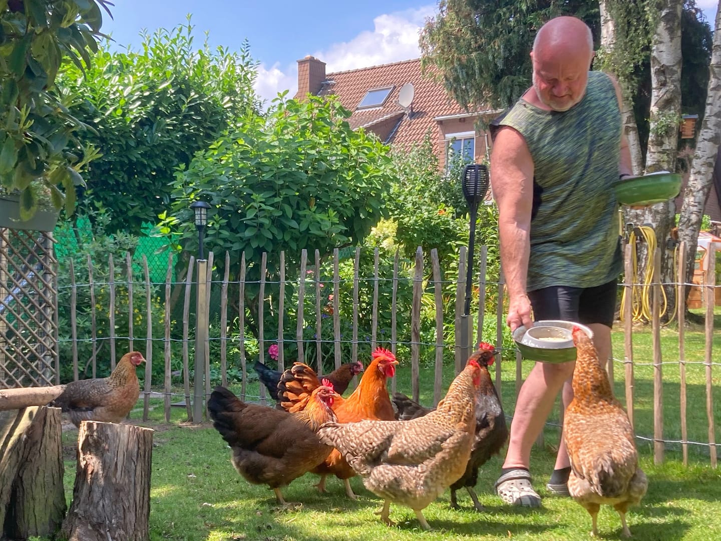 Customer photo review of WurmCheck – Kotprobe für Hühner I Kotuntersuchung für zu Hause