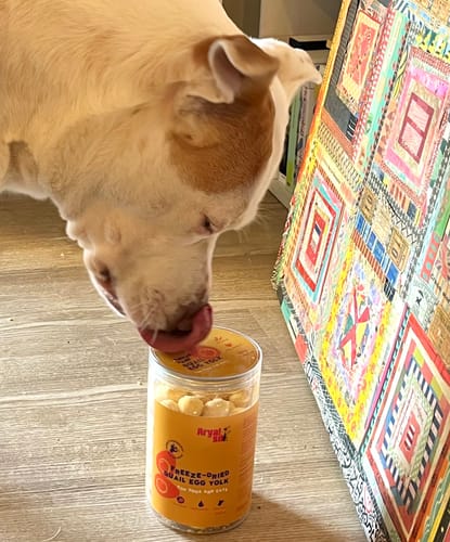 Customer photo review of Freeze-Dried Egg Yolk 10 oz