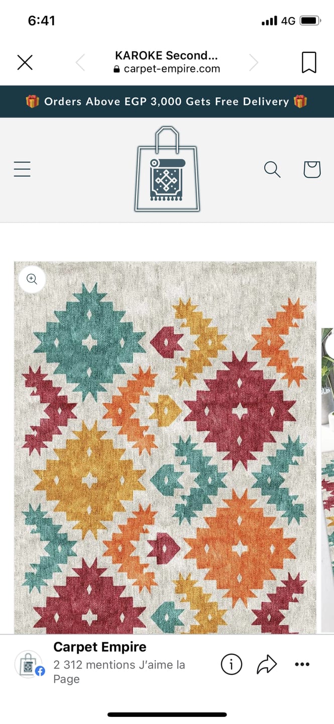 Customer photo review of KAROKE Second Version Chenille Rug