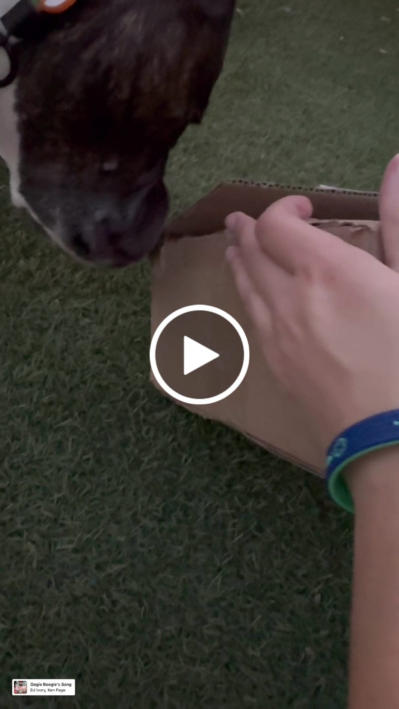 Customer video review of Plant Dog Membership Box