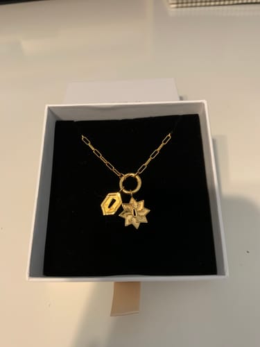 Customer photo review of Hashira Charms