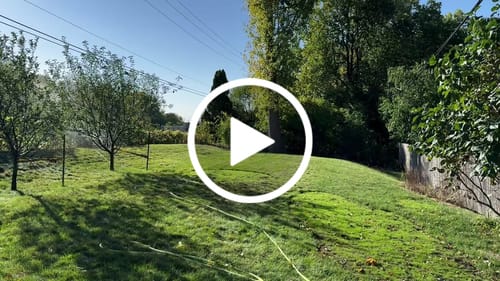 Customer video review of GCI Turf Blue Heat Grass Seed